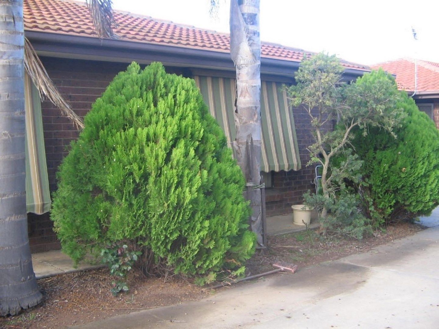 2 bedrooms Apartment / Unit / Flat in 8/38 Trevor Street MURRAY BRIDGE SA, 5253