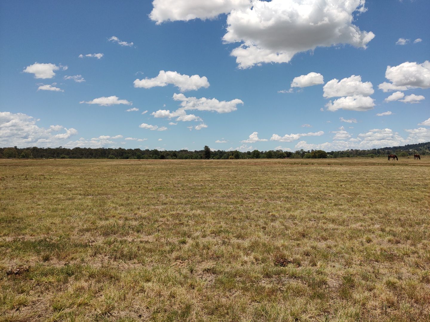 Lot 7/3 Beckey Road, Plainland QLD 4341, Image 1