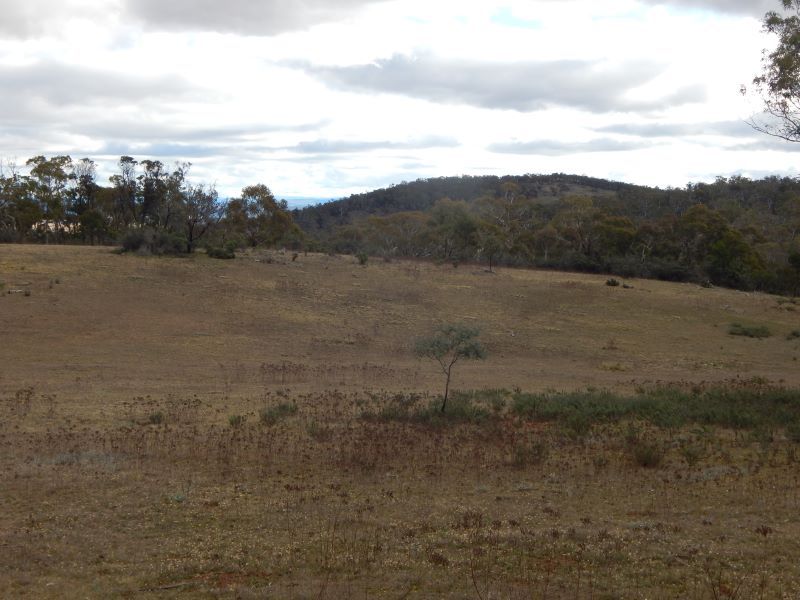 Lot 106 & 116 Collins Road, Numeralla NSW 2630, Image 2