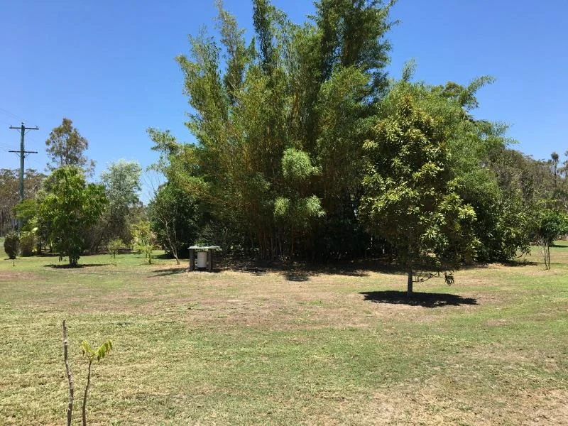 Image 11