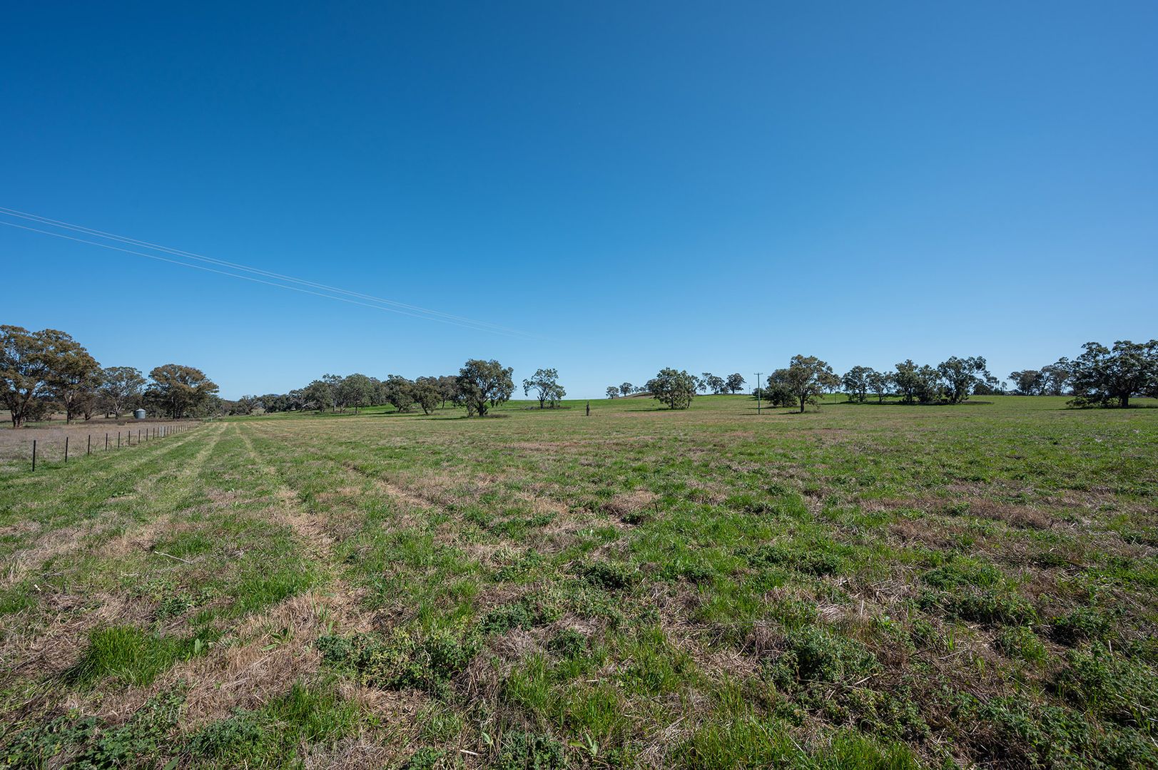 11 Adams Lead Road, Gulgong NSW 2852, Image 2