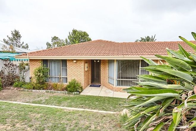 Picture of 5A Teece Place, HAMILTON HILL WA 6163