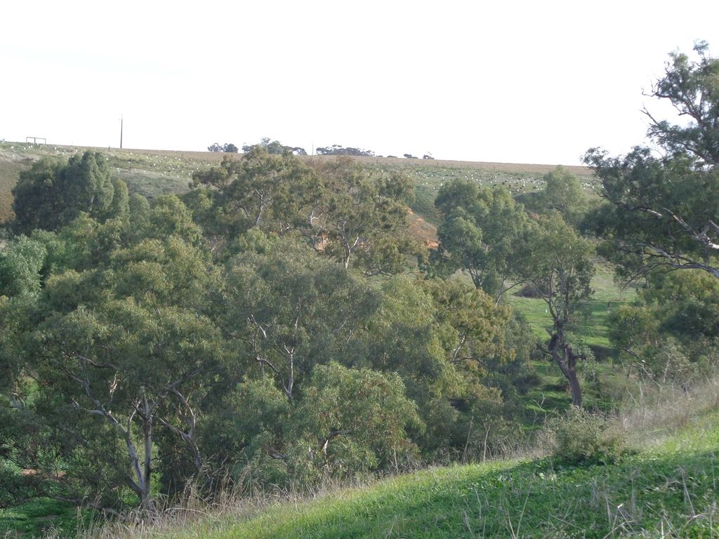 140 Hamley Bridge Road, MALLALA SA 5502, Image 2