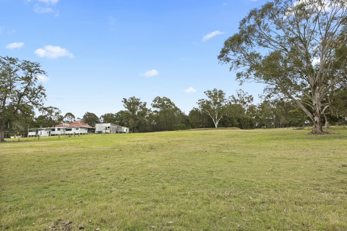 Image 19
