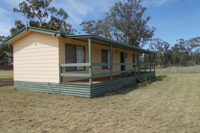 Picture of 12 Goonoo Street, EUMUNGERIE NSW 2822