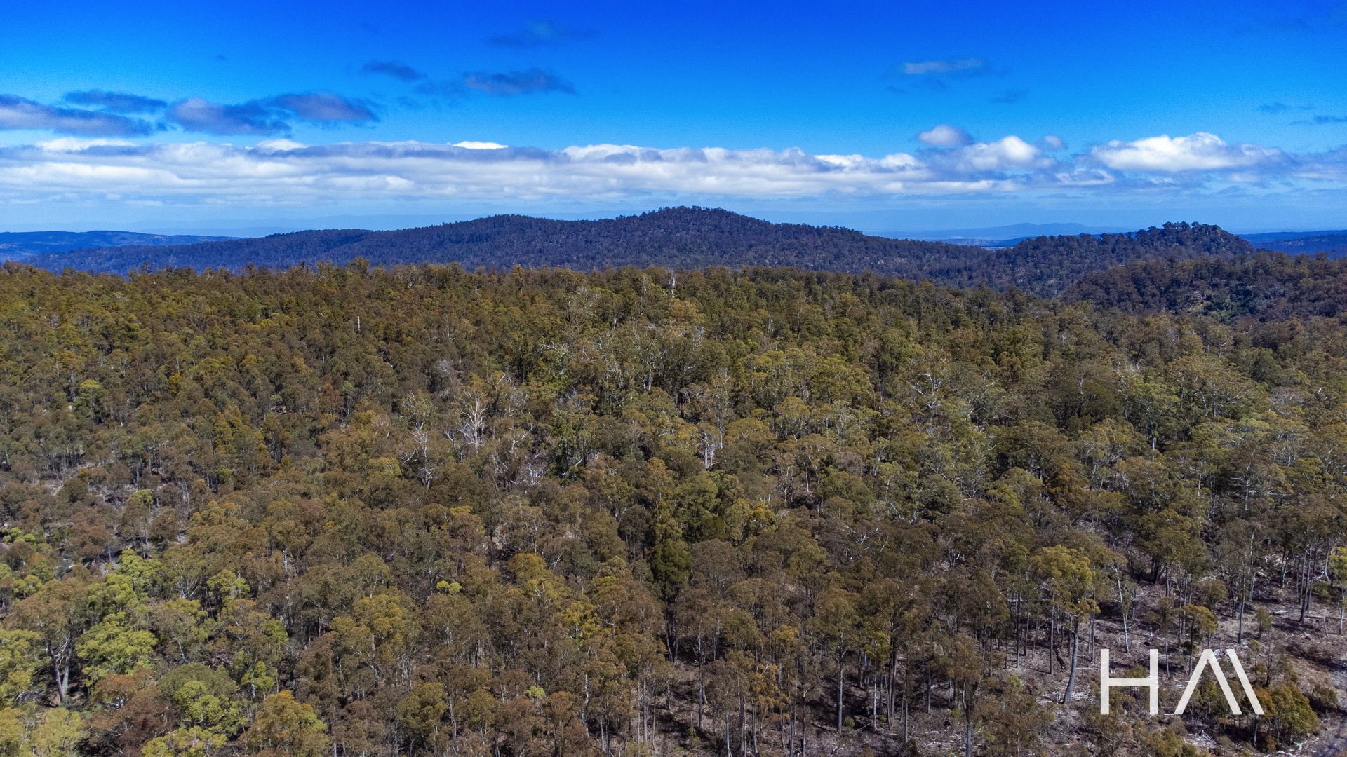 Bona Vista Storeys Creek Road, Avoca TAS 7213, Image 2