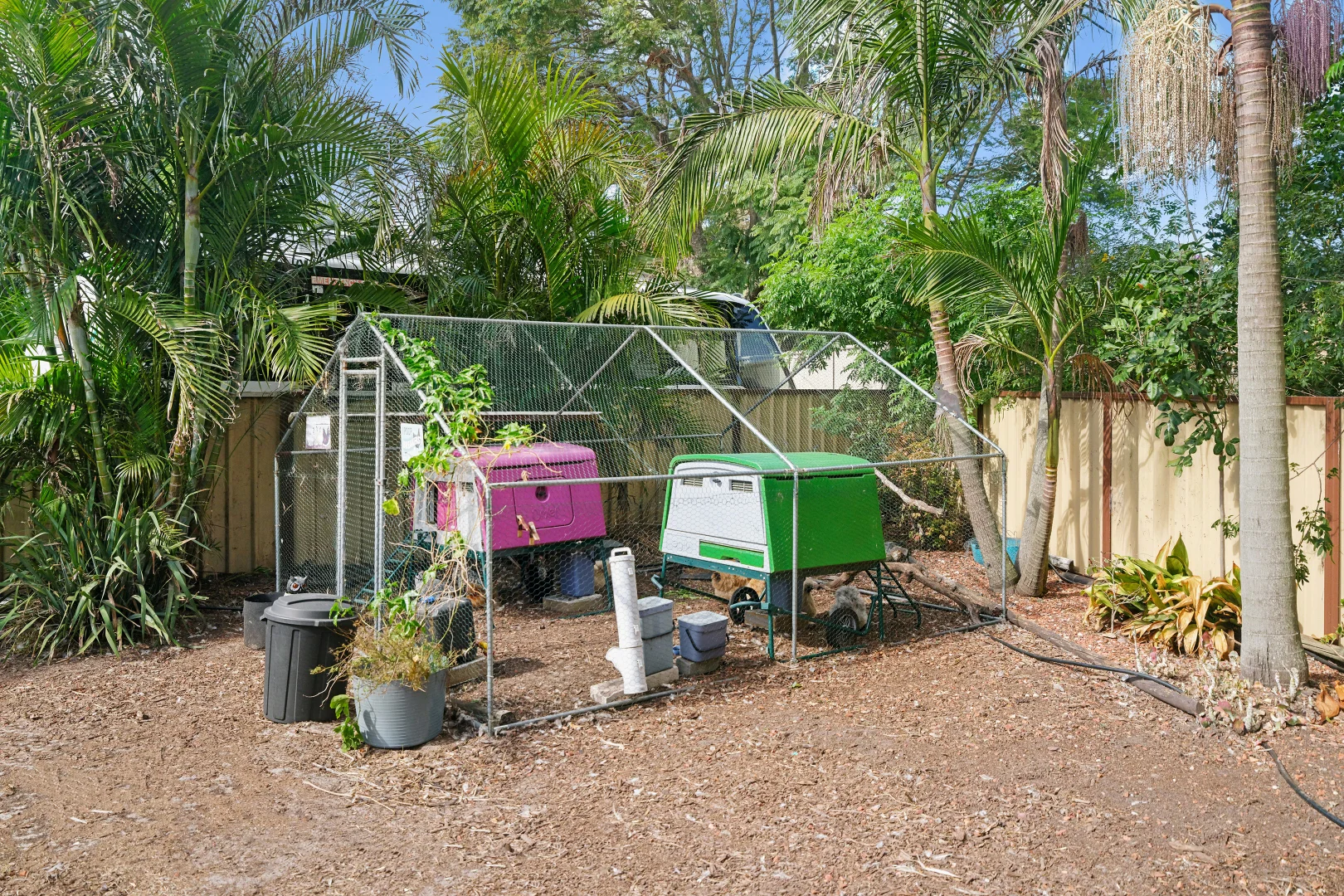 Image 21