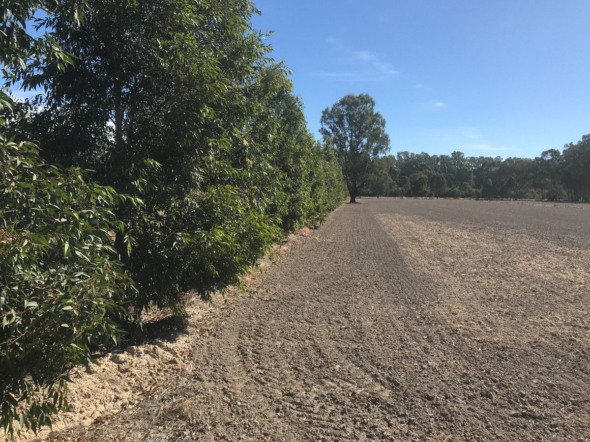 Lot 83/Cappiellos Lane Cappiellos Lane, Barham NSW 2732, Image 0