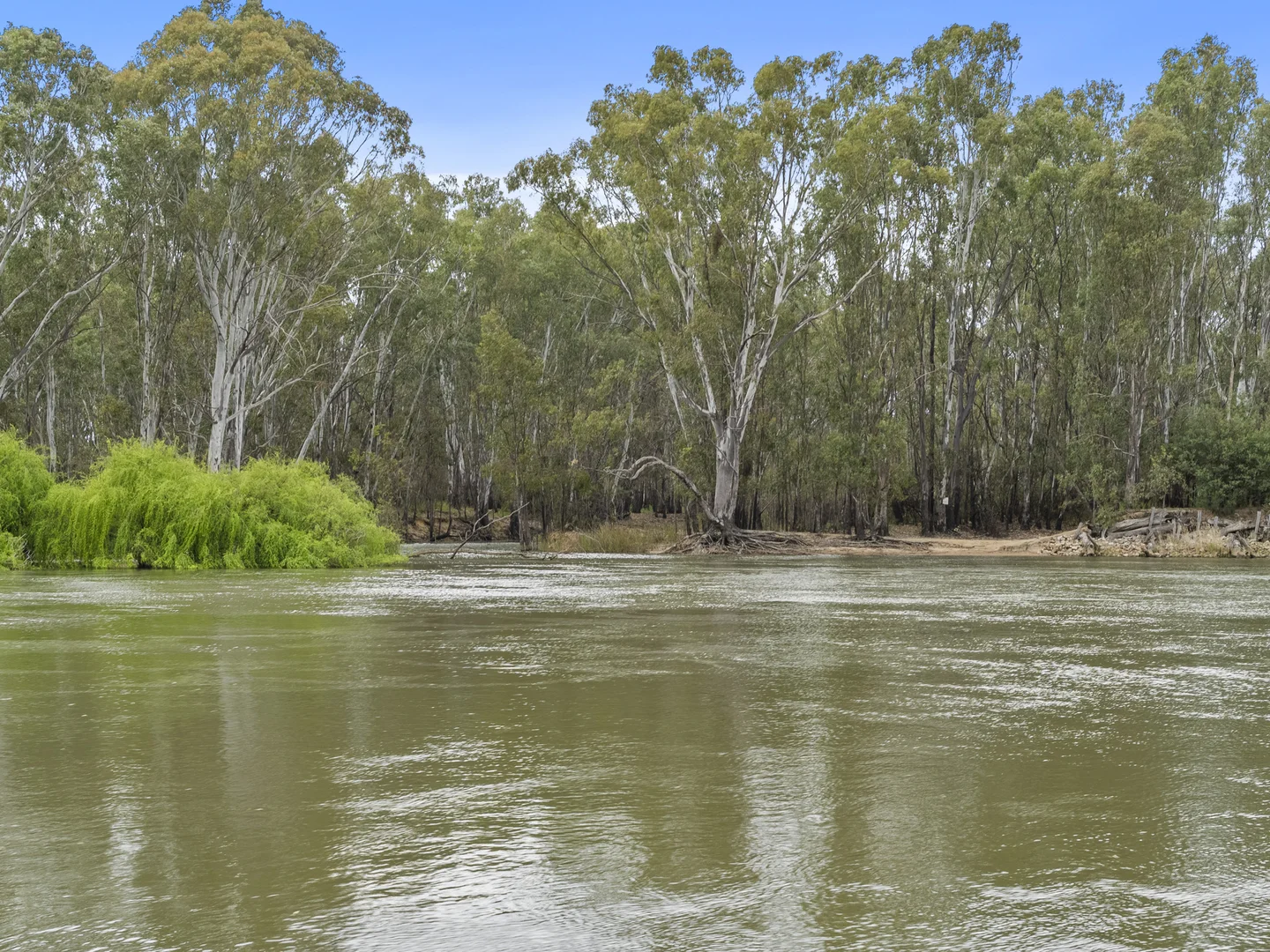 Image 29