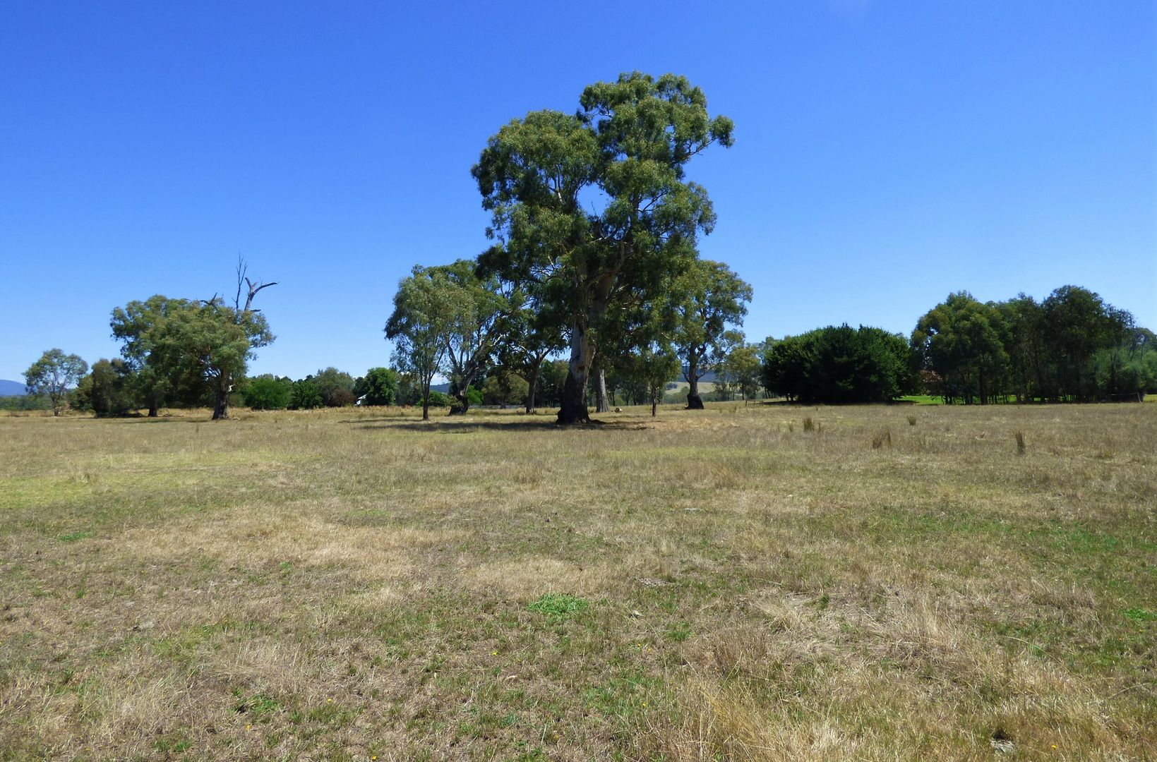 Lot 2 Whorouly South Rd, Whorouly South VIC 3735, Image 1