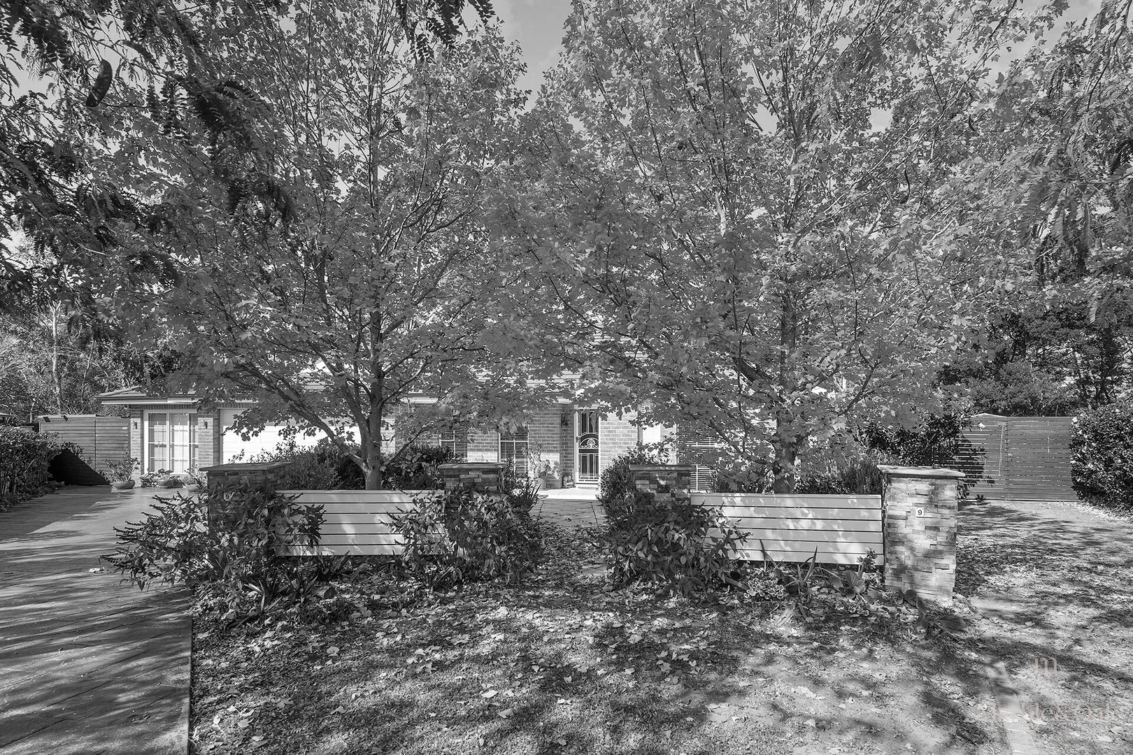 Image 20