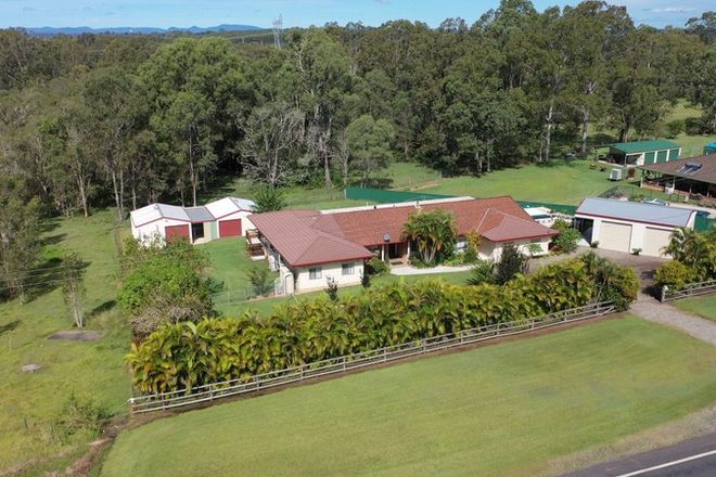Picture of 1308 Summerland Way, MOUNTAIN VIEW NSW 2460