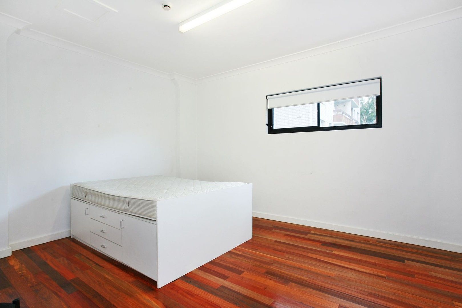 Studio in 1/8 Liberty Street, ENMORE NSW, 2042
