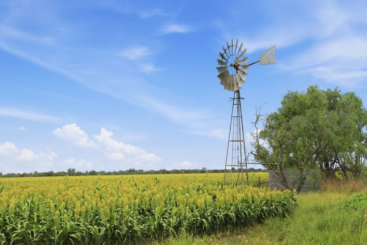 Additional image 5 of 'Trenayr' & 'Nanima' 2022 Terry Hie Hie Road, Moree NSW 2400