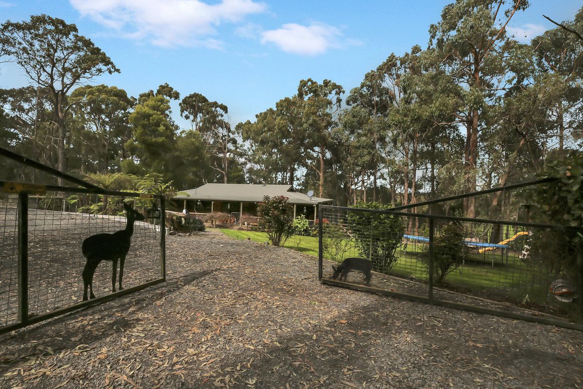 90 Stolls Road, Buln Buln East VIC 3821, Image 0