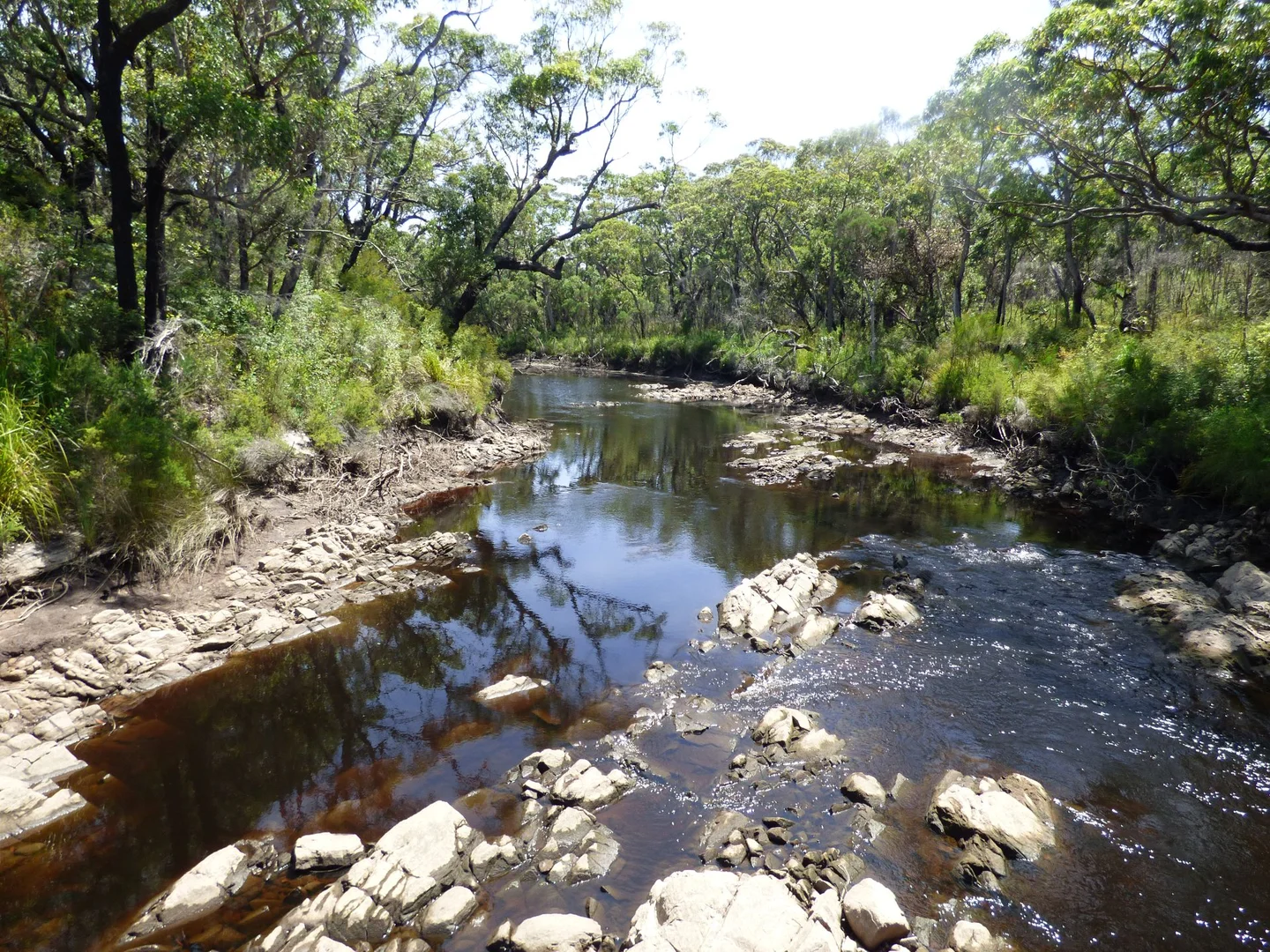 Image 33