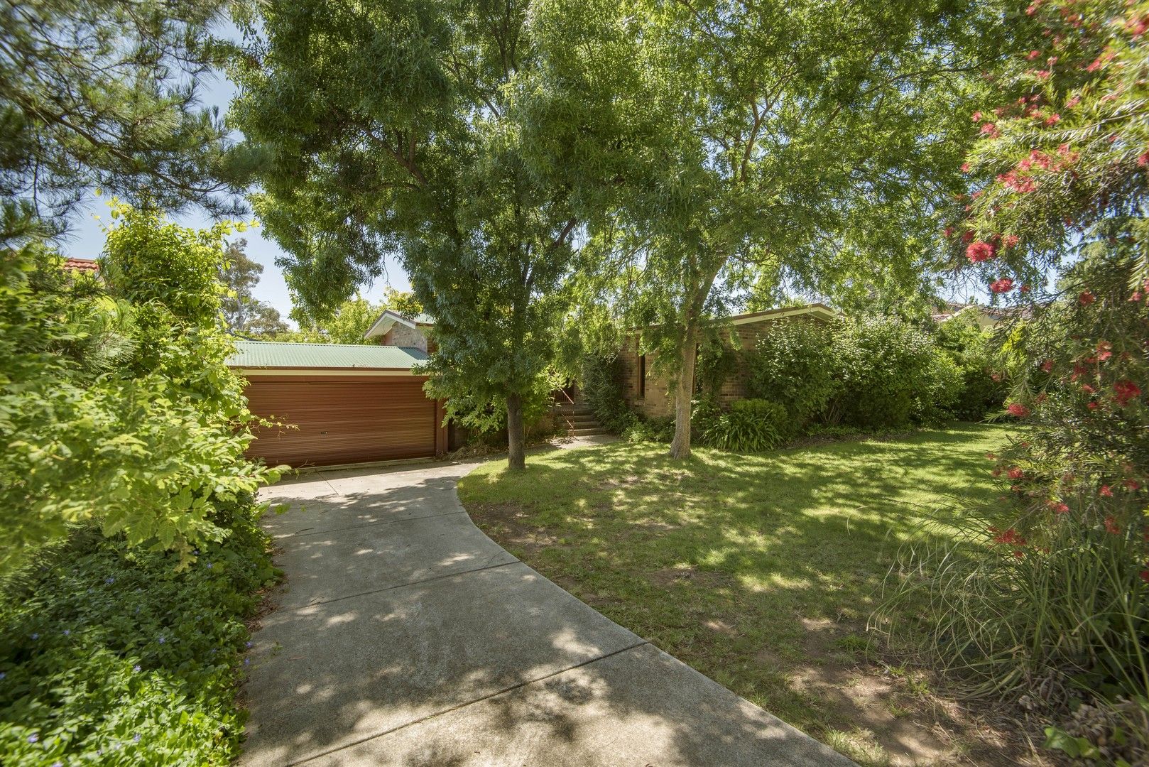 19 Investigator Street, Red Hill ACT 2603, Image 0
