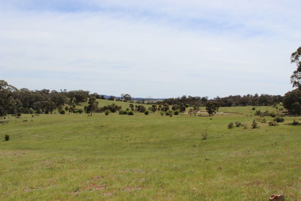 Lot 7 Inverary Road, Bungonia NSW 2580, Image 0