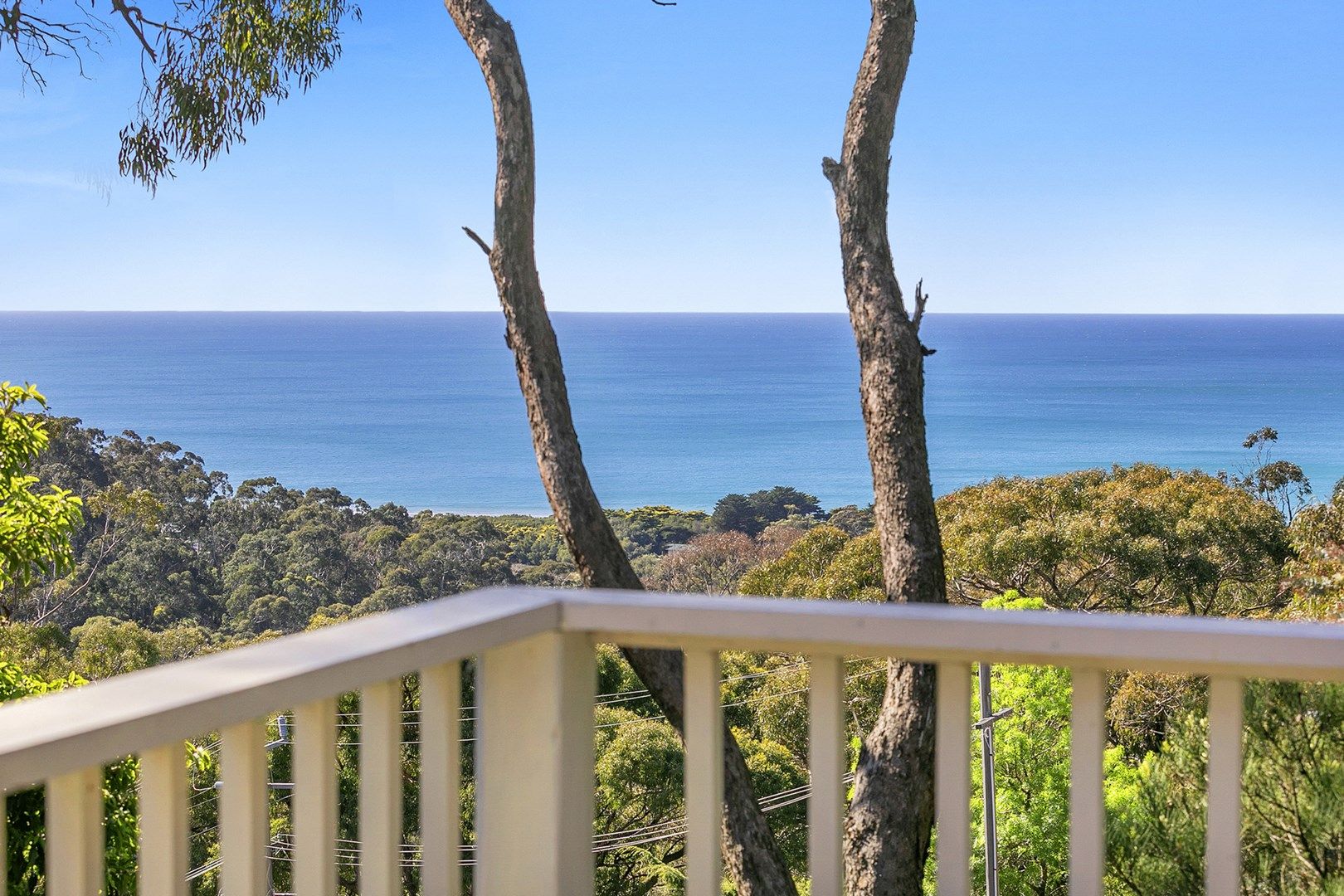 8 Heath Street, Lorne VIC 3232, Image 0