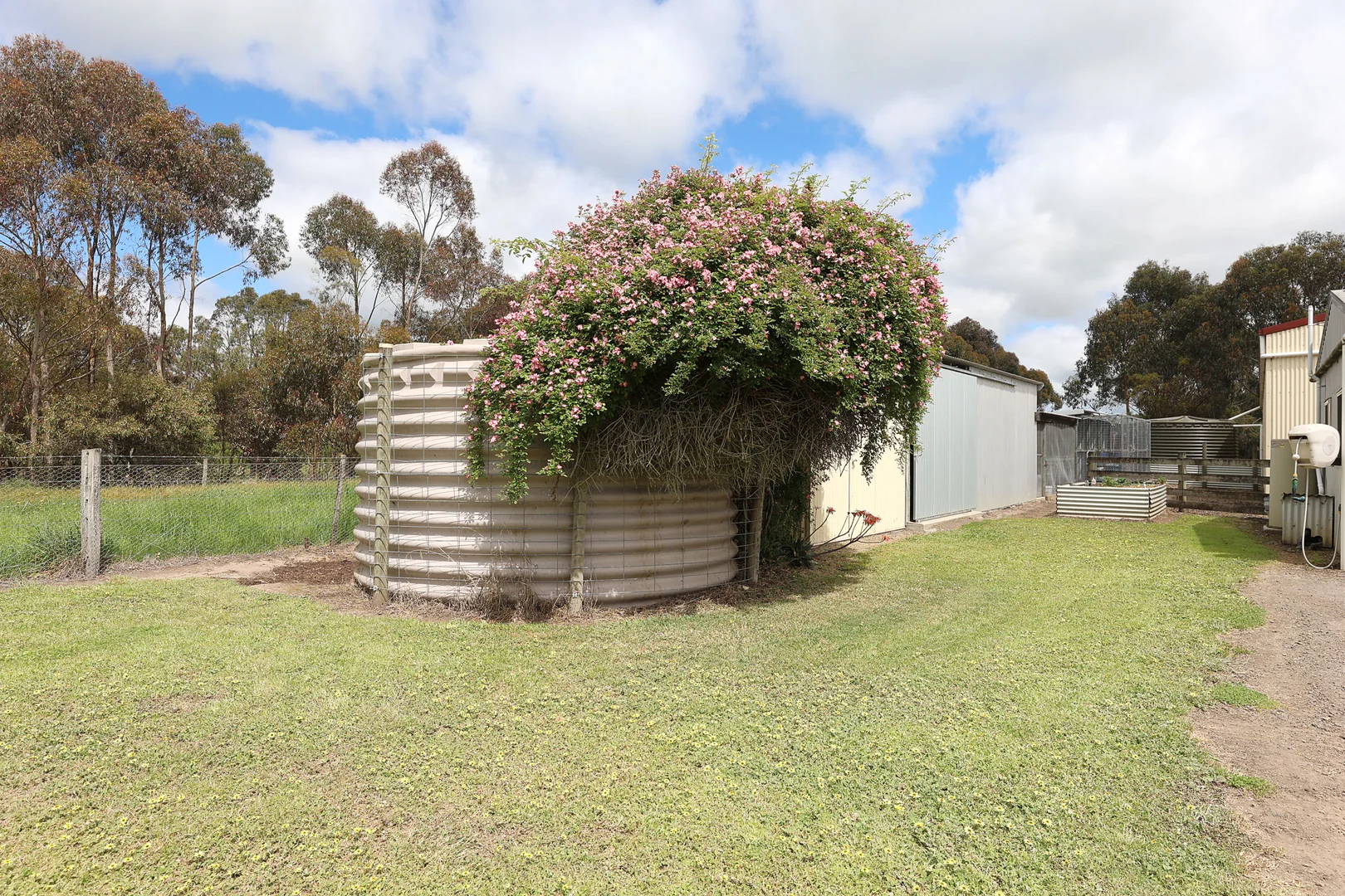 Image 15