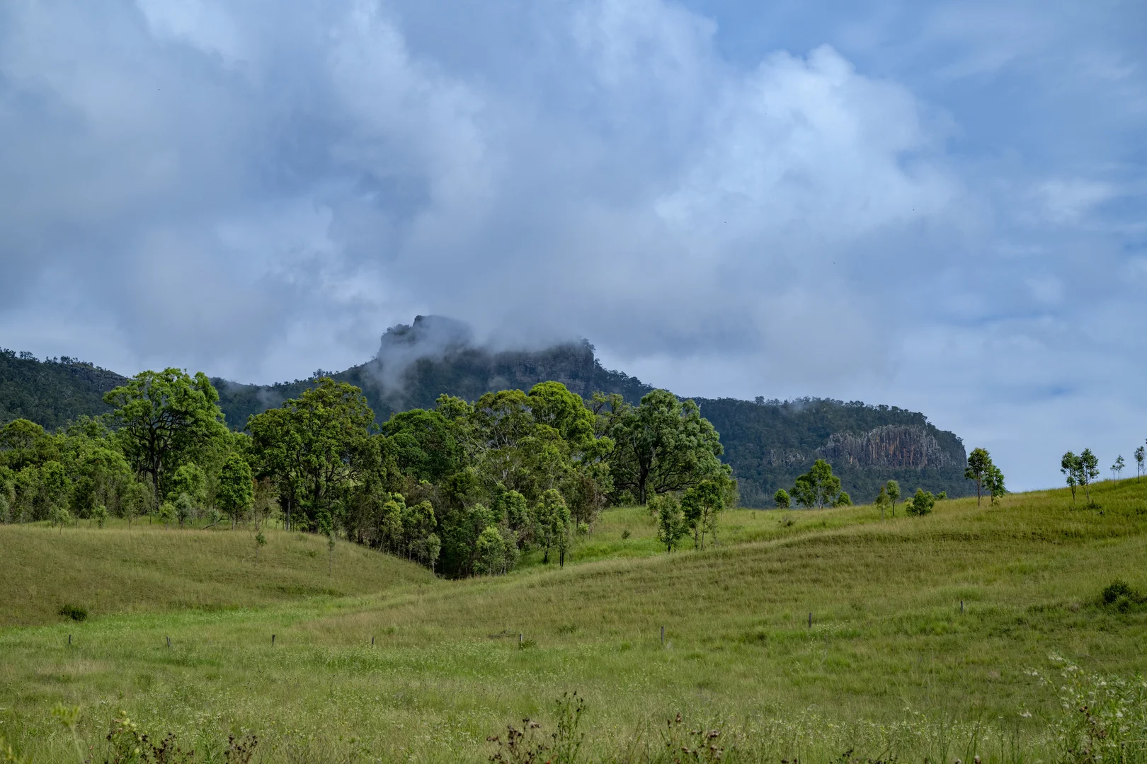 Image 12