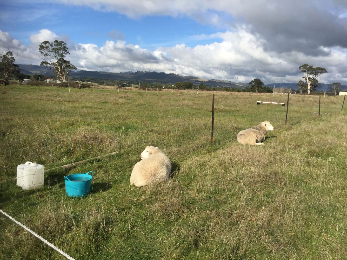 Lot 2 Jumbuk Road, Yinnar VIC 3869 House for Sale 674,900