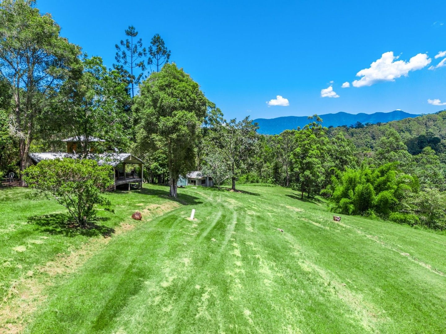 364 Byrrill Creek Road, Byrrill Creek NSW 2484, Image 0