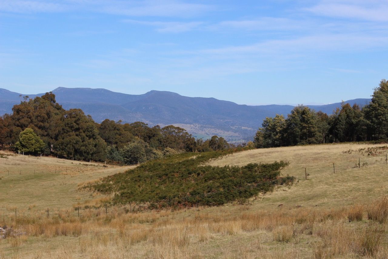 82 Grahams Road, Black Hills TAS 7140 Vacant Land for Sale 280,000