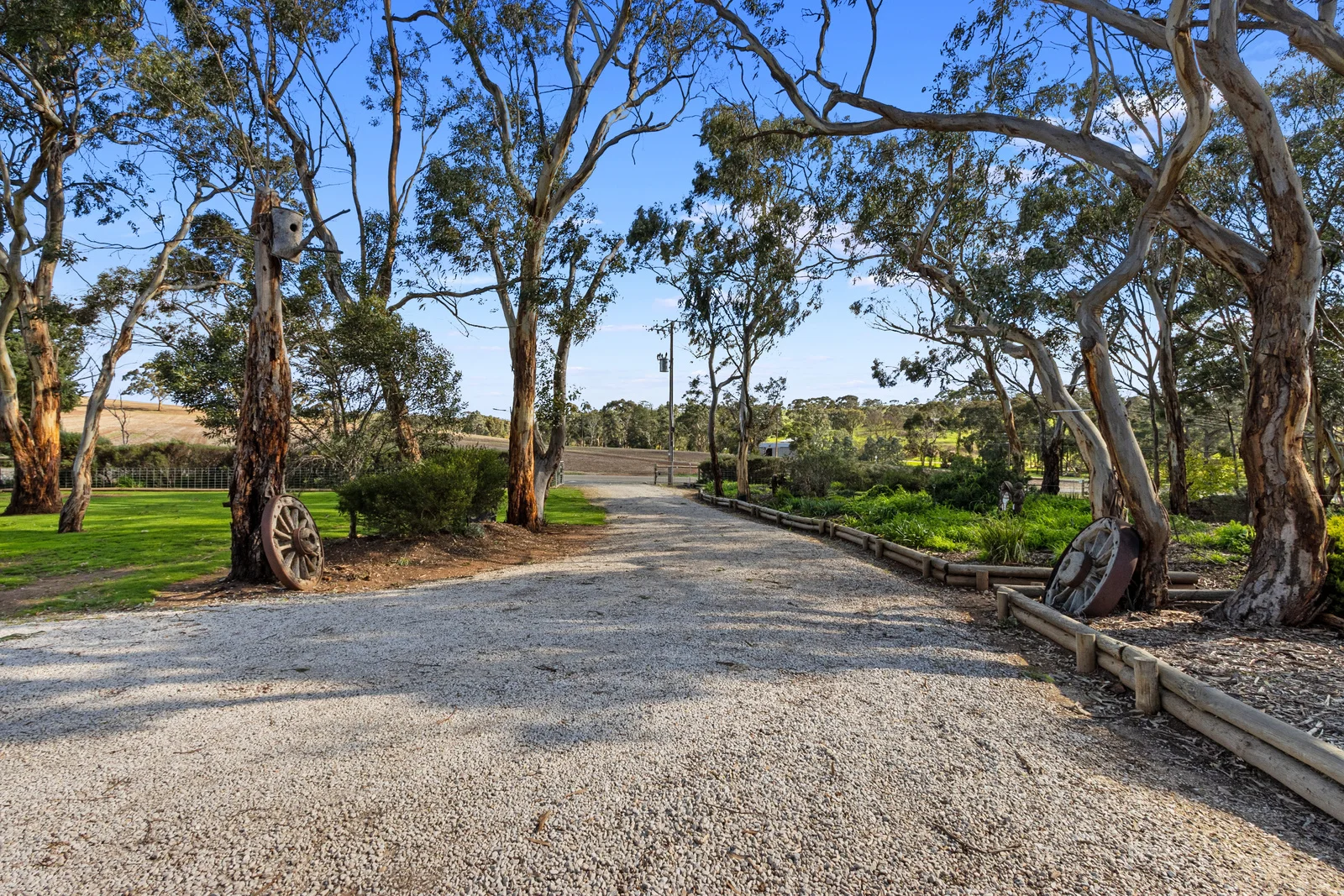 Image 18
