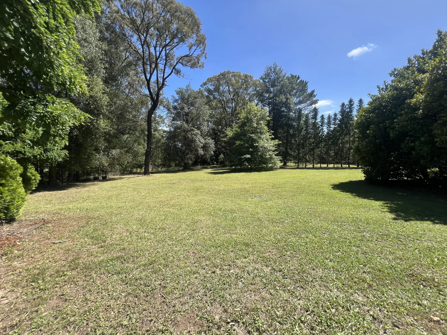 Additional image 20 of 139 Dairy Road, The Oaks NSW 2570