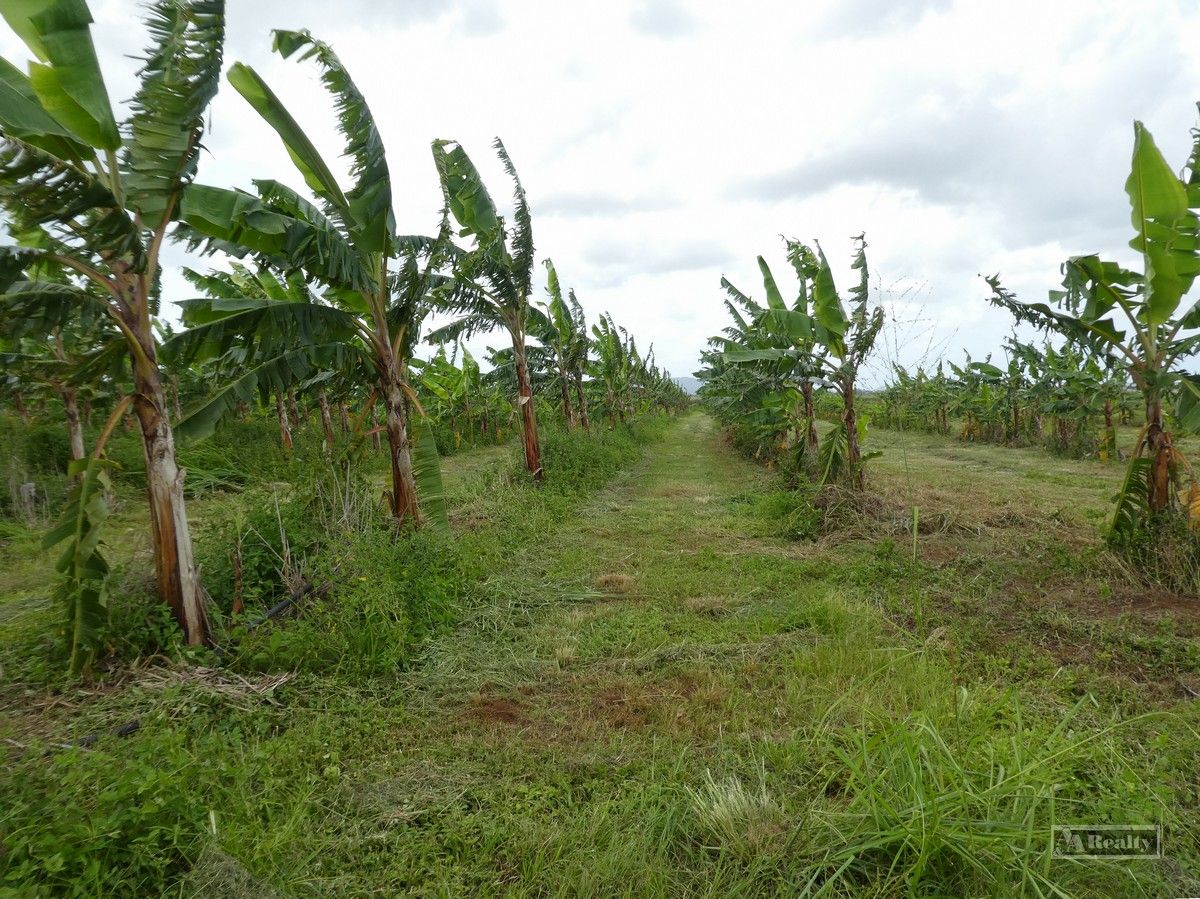 Wangan QLD 4871 Specialist Farm for Sale 600,000 Domain