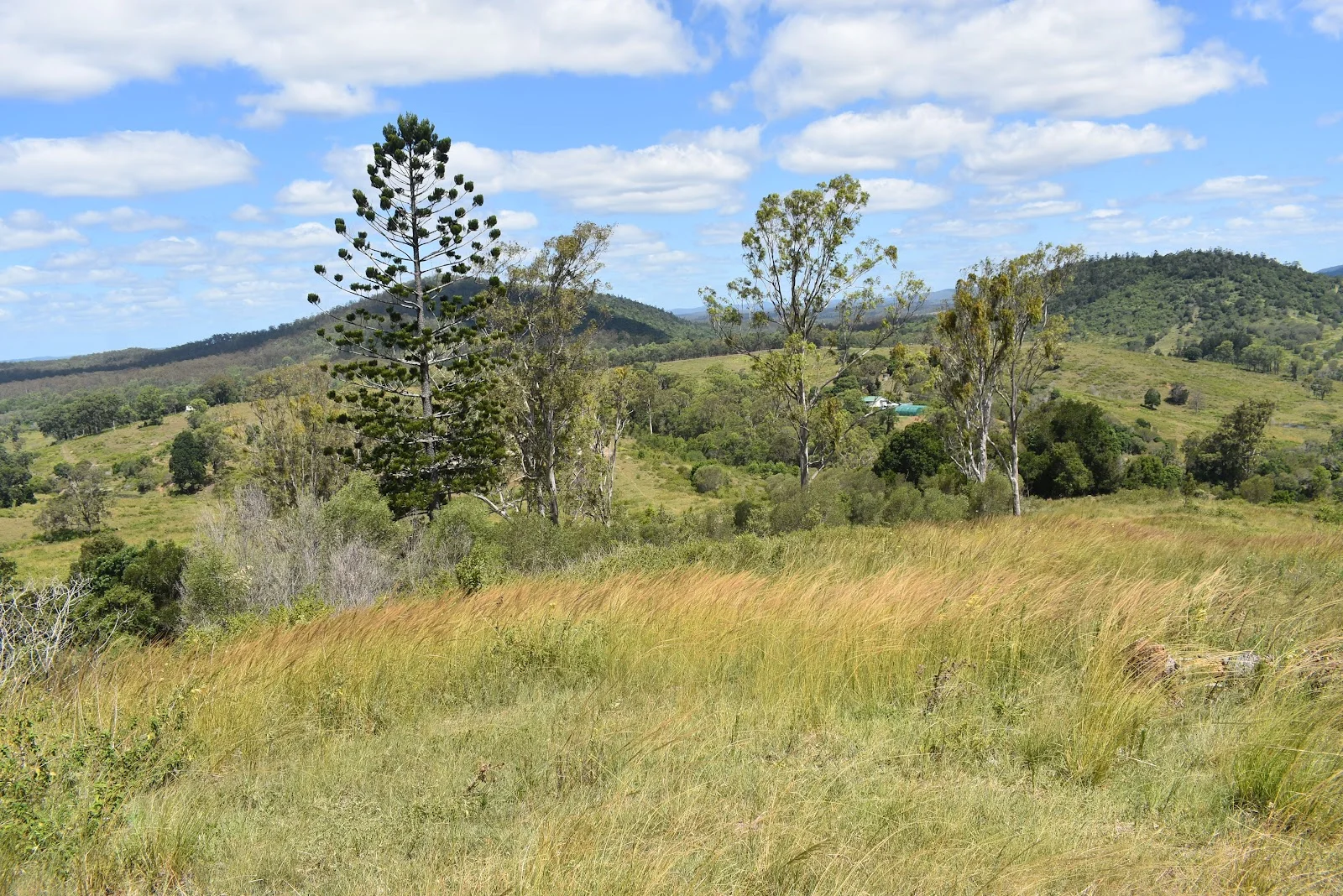 Additional image 13 of 35 Bakers Road, Bauple QLD 4650