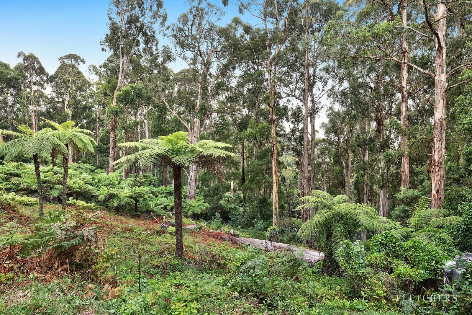 10 Woodhurst Grove, Kalorama VIC 3766, Image 2