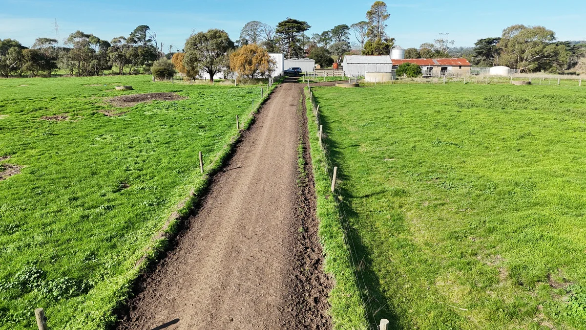 Image 10