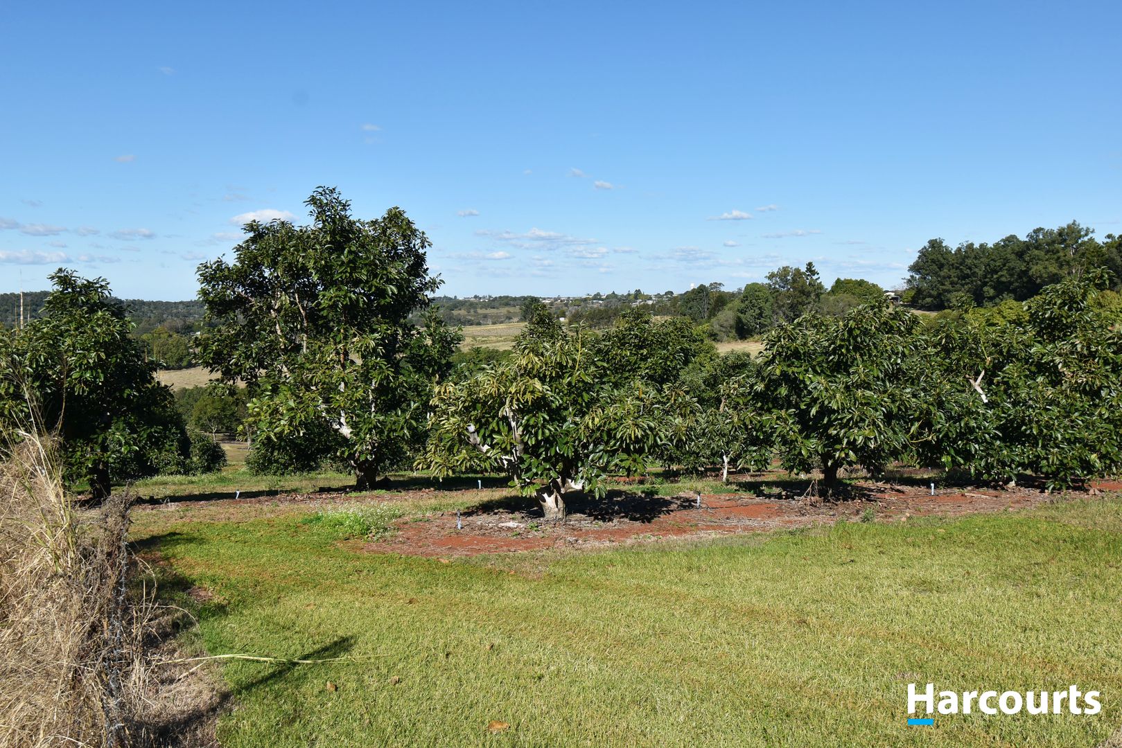 Lot 10 Stantons Road, North Isis QLD 4660, Image 2