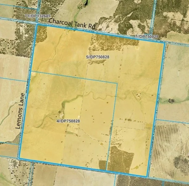 Image 10