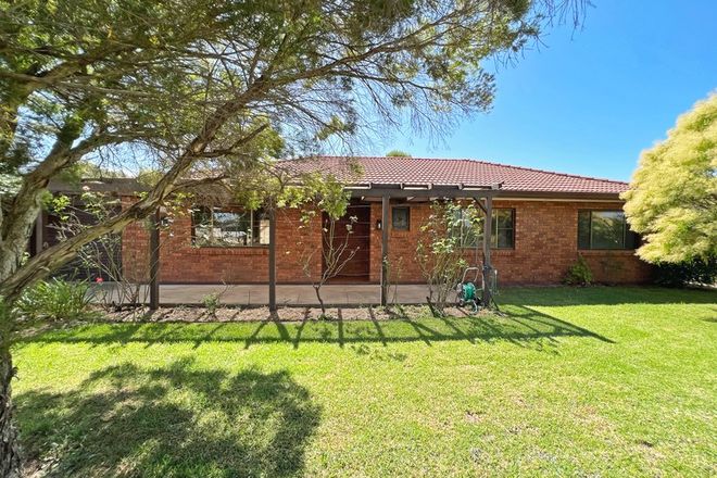 Picture of 117 York Street, FORBES NSW 2871