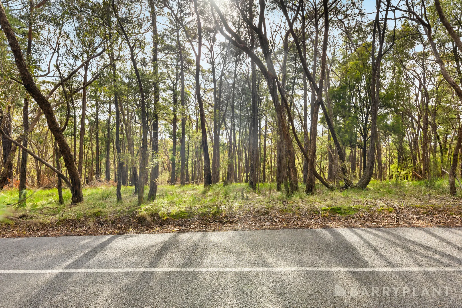 Additional image 6 of 935 Buttermans Track, Christmas Hills VIC 3775