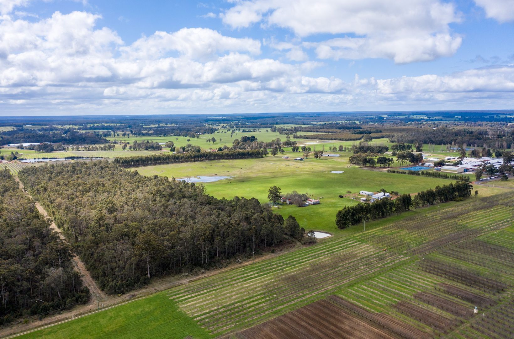 60 Rutherford Street, Manjimup WA 6258 House for Sale Domain