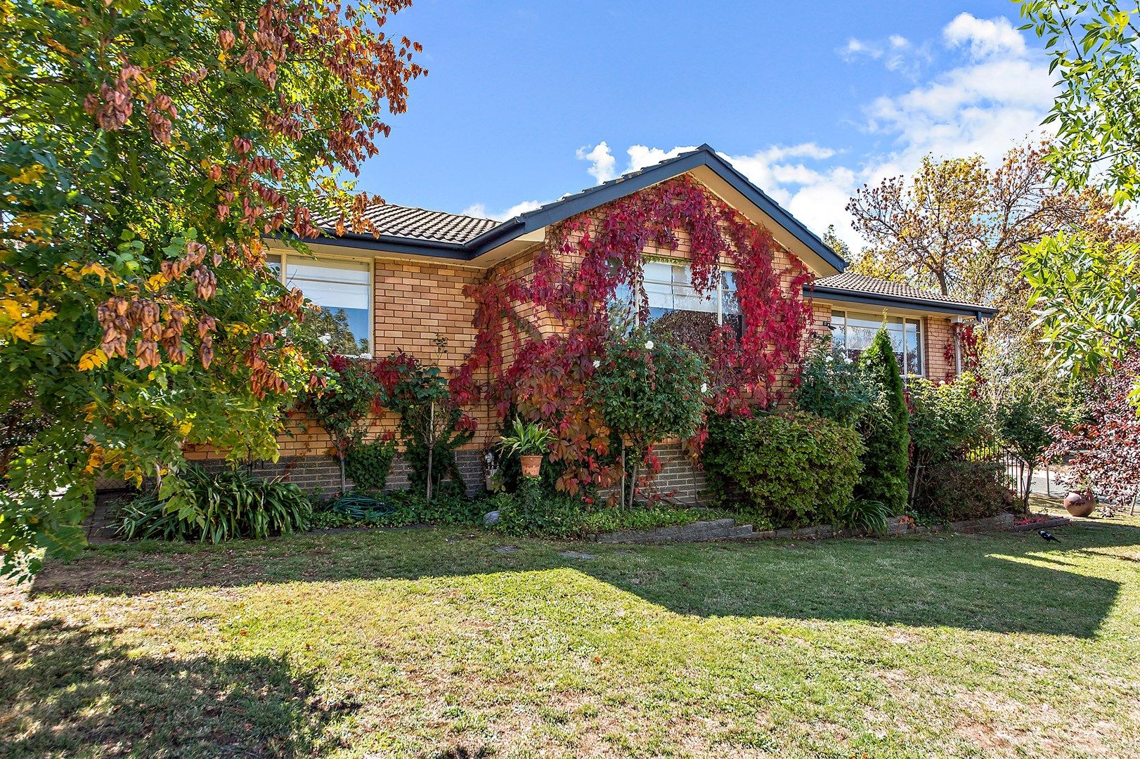 1 Cornelian Place, Lyons ACT 2606, Image 0