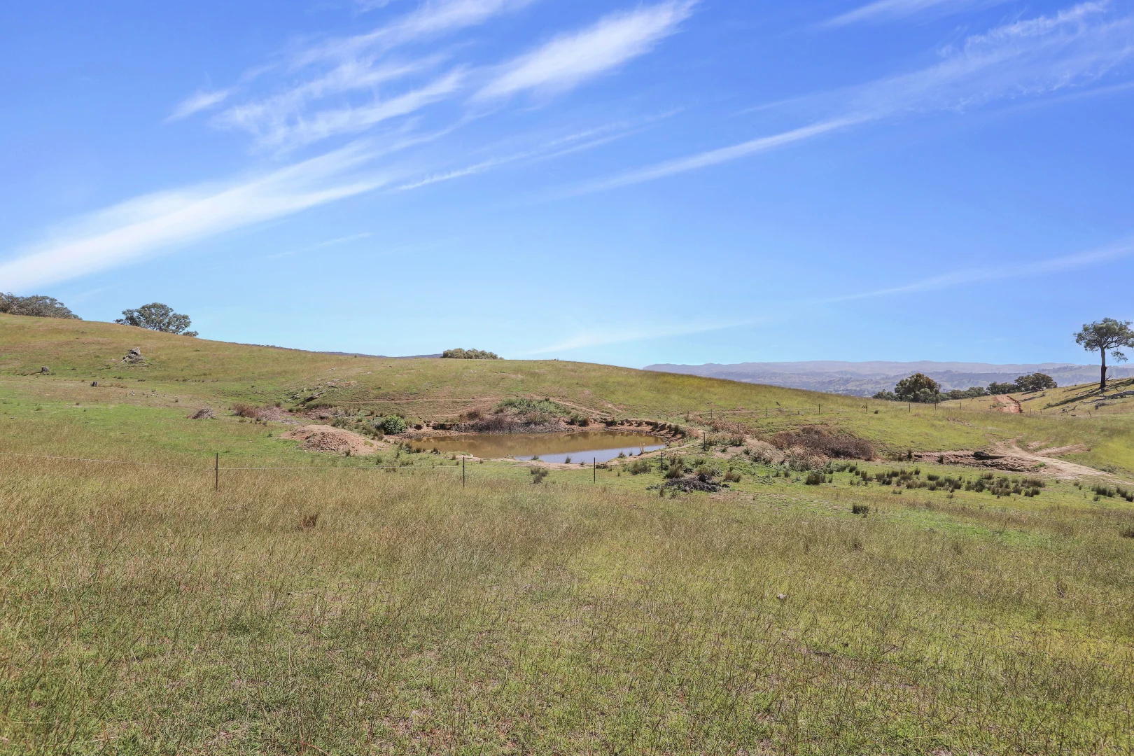 Additional image 6 of Part 1169 Grahamstown Road, Adelong NSW 2729