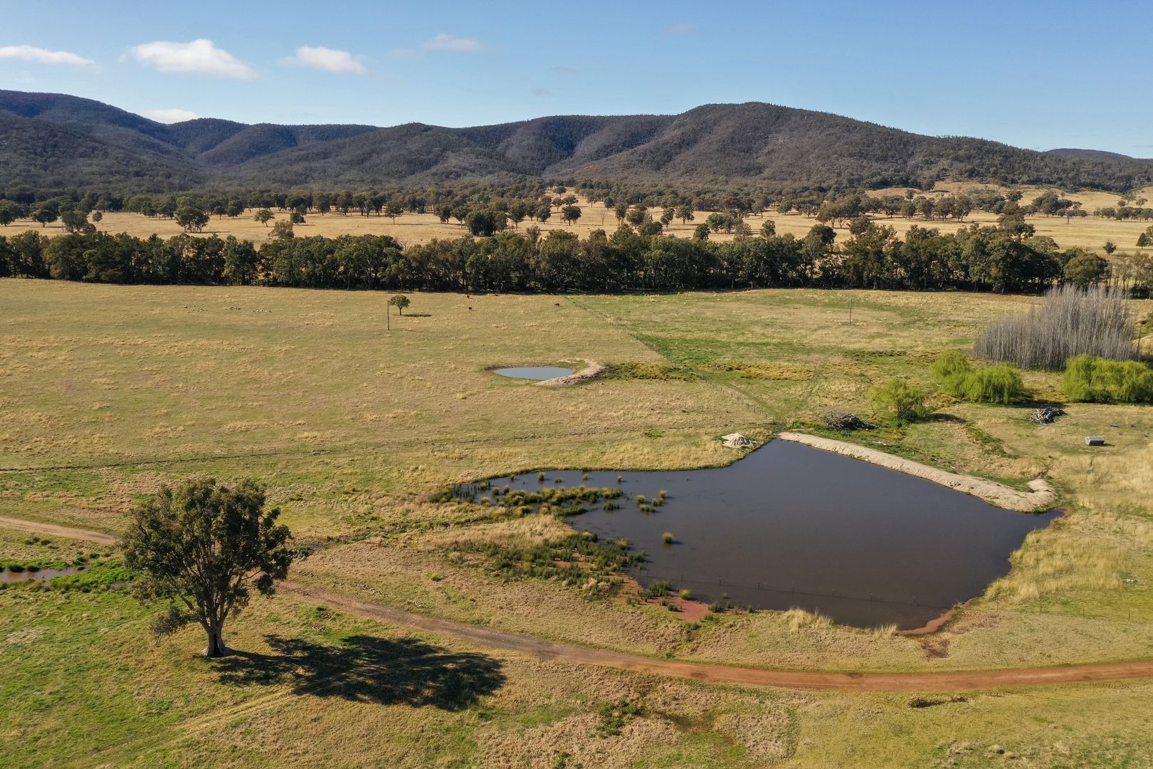 Inverell NSW 2360 House for Sale 4,100,000 Domain