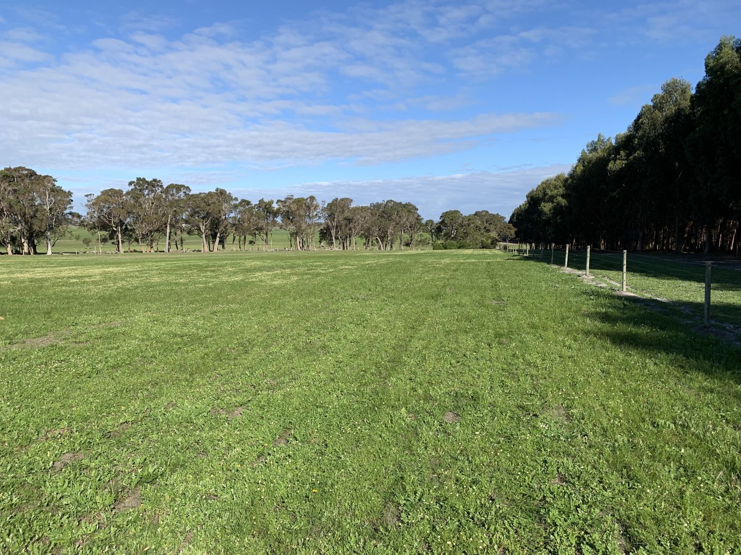 Lot 4075 Mann Road, Nillup WA 6288, Image 1