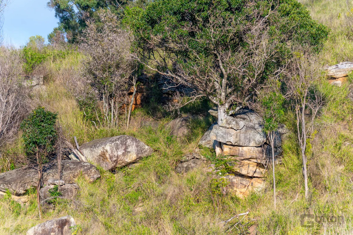 Image 21