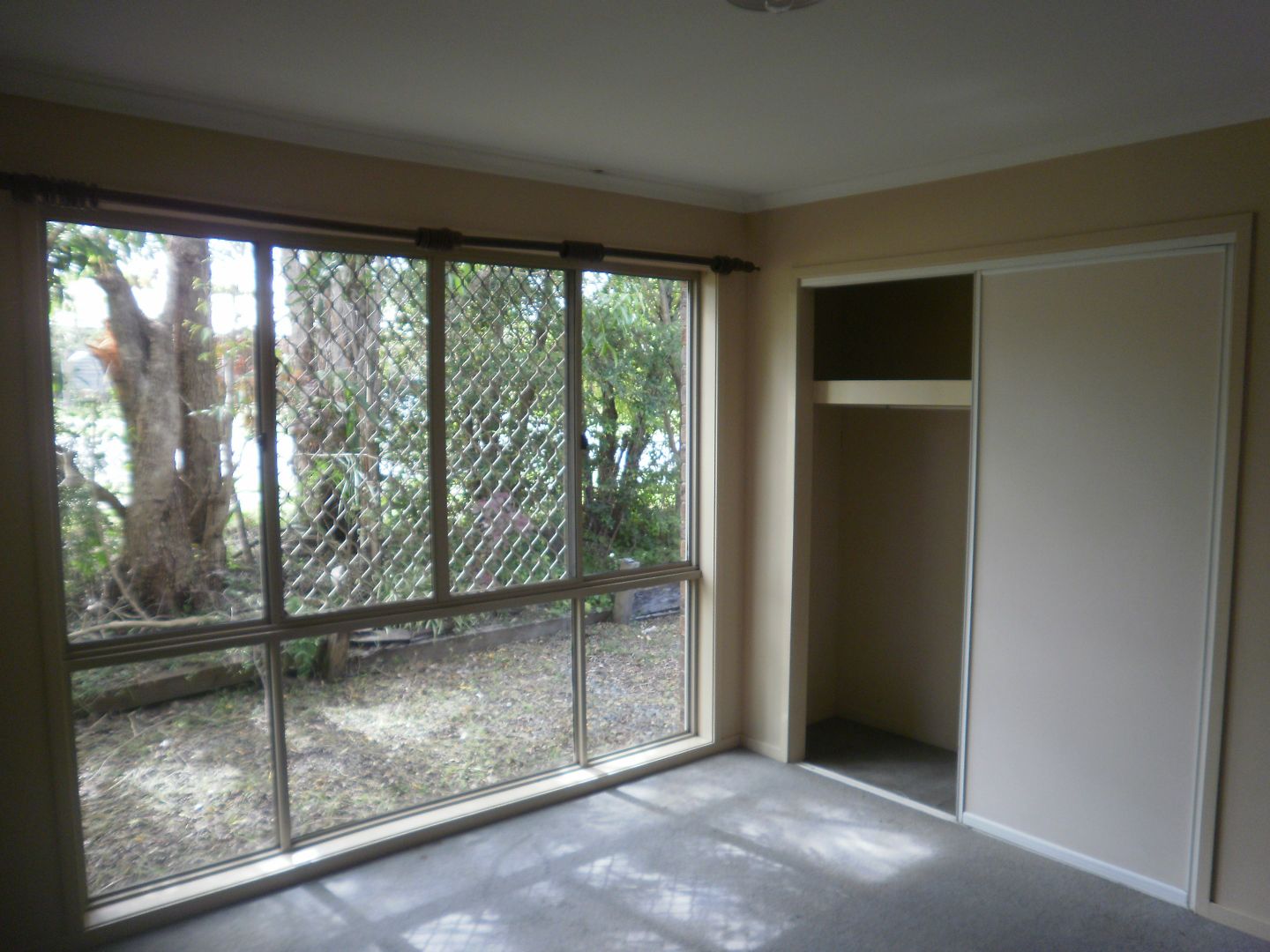 81 St Andrews Drive, Tewantin QLD 4565, Image 2
