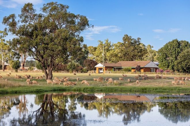 Picture of 2007 Sturt Highway, COLLINGULLIE NSW 2650