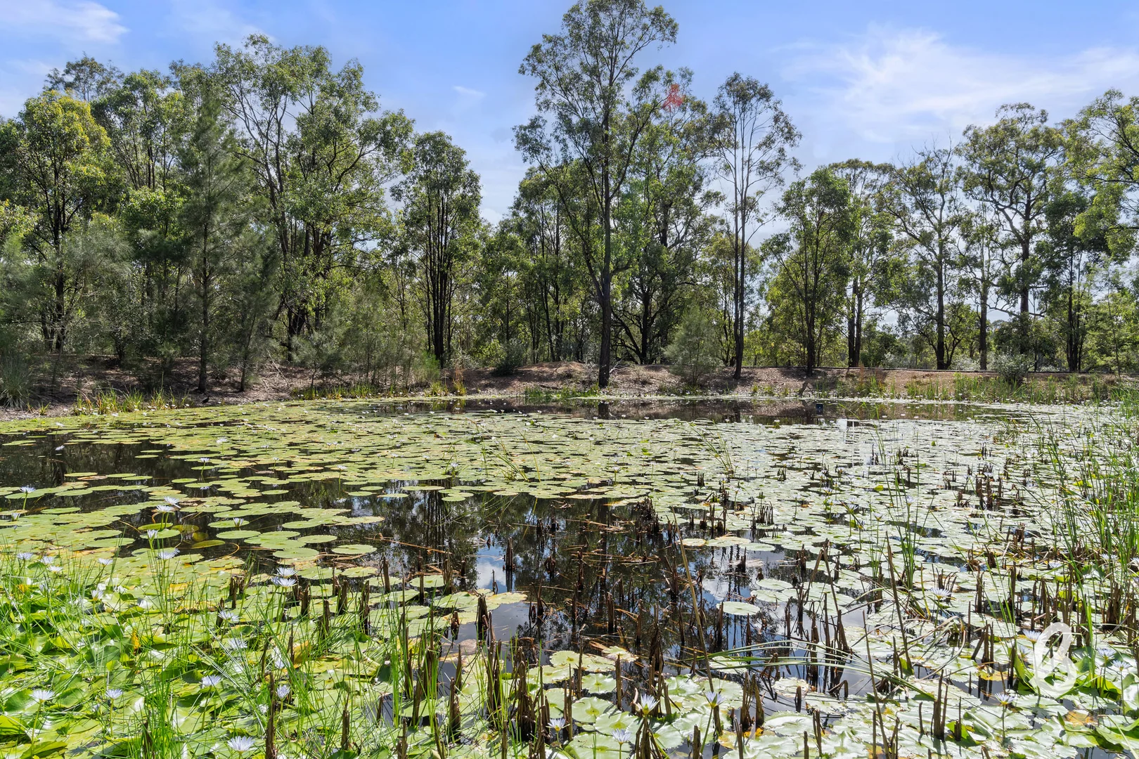 Additional image 59 of 311 Gresford Road, Singleton NSW 2330