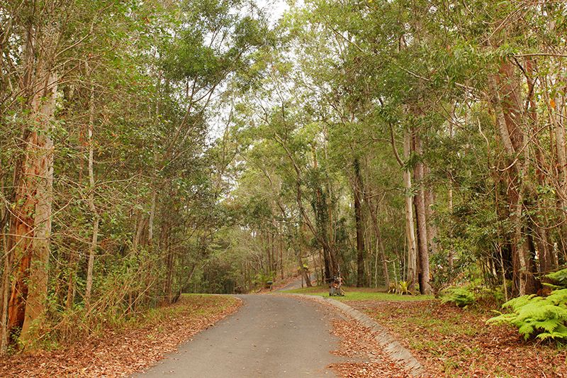 36 Platypus Creek Road, Dulong QLD 4560, Image 2