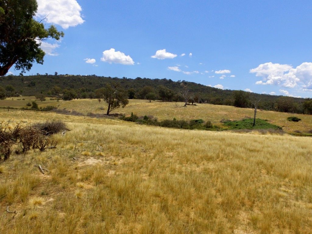 Lot 10 Montana Road, Tuena NSW 2583, Image 1