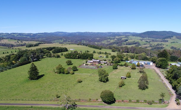 621 Old Coast Road, North Dorrigo NSW 2453